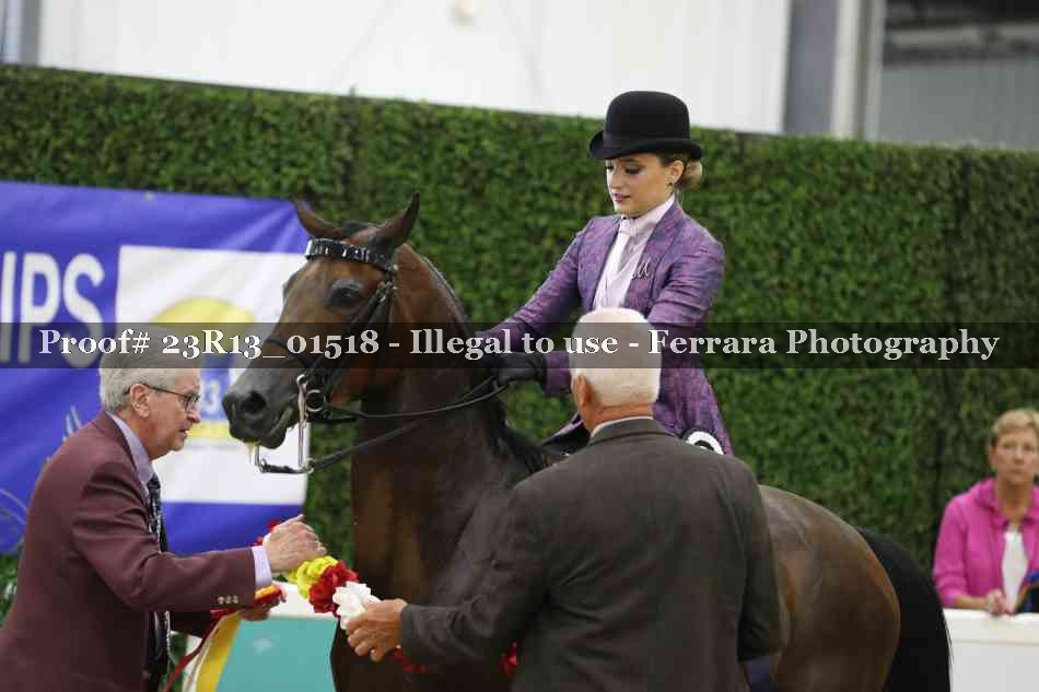 Proof 23R13_01518