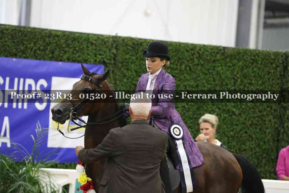Proof 23R13_01520