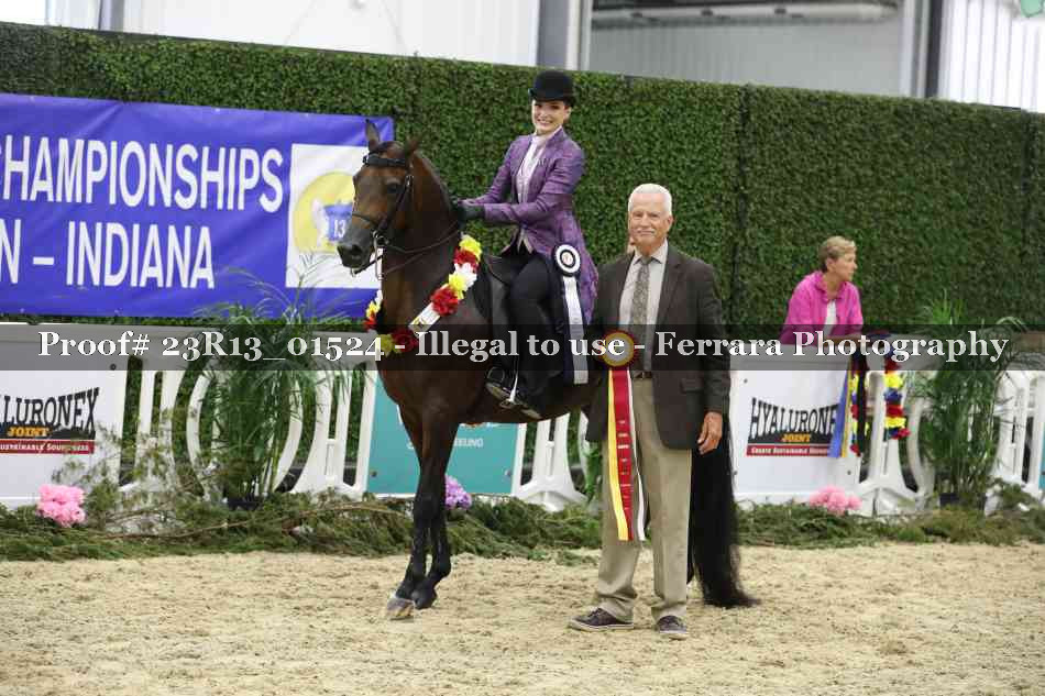 Proof 23R13_01524