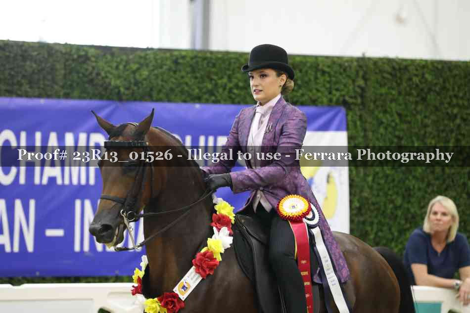 Proof 23R13_01526