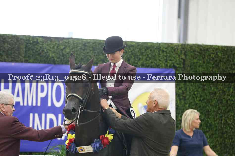 Proof 23R13_01528