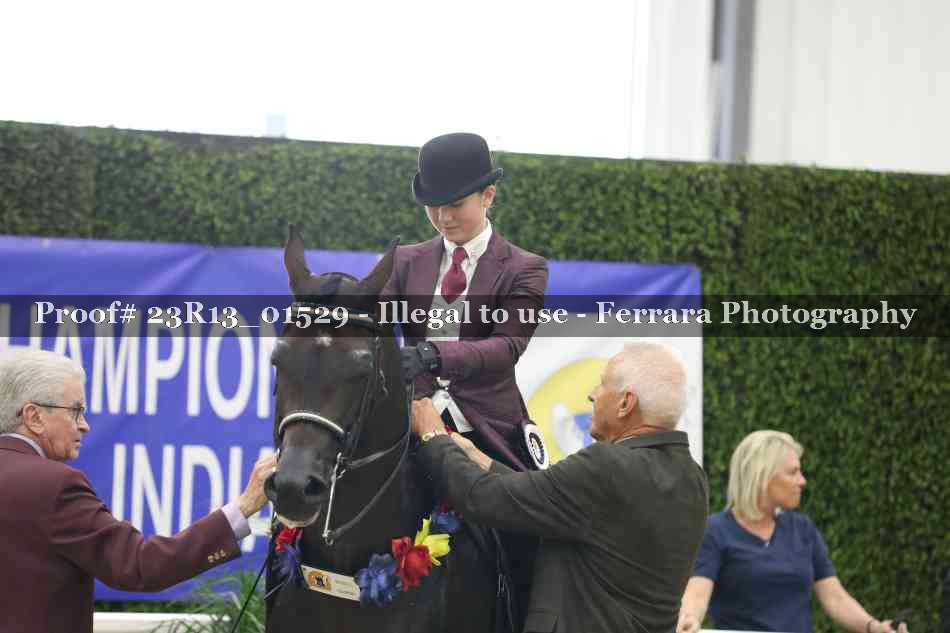Proof 23R13_01529