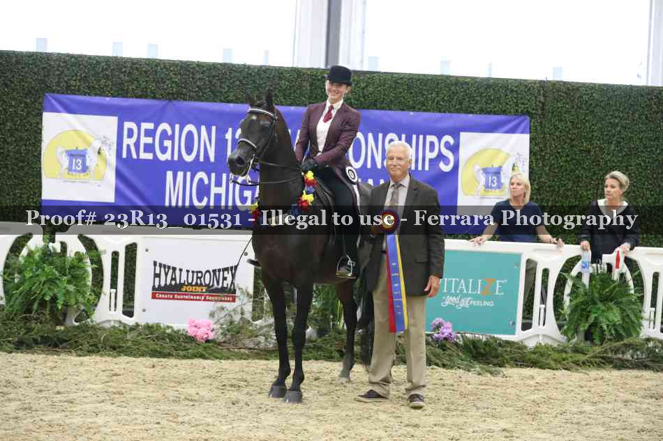 Proof 23R13_01531
