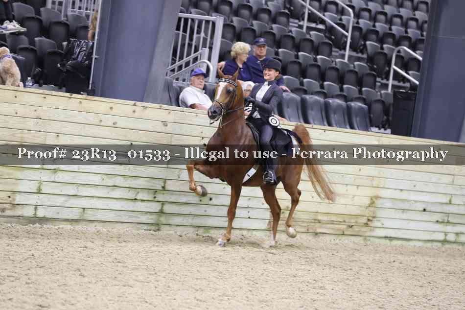 Proof 23R13_01533