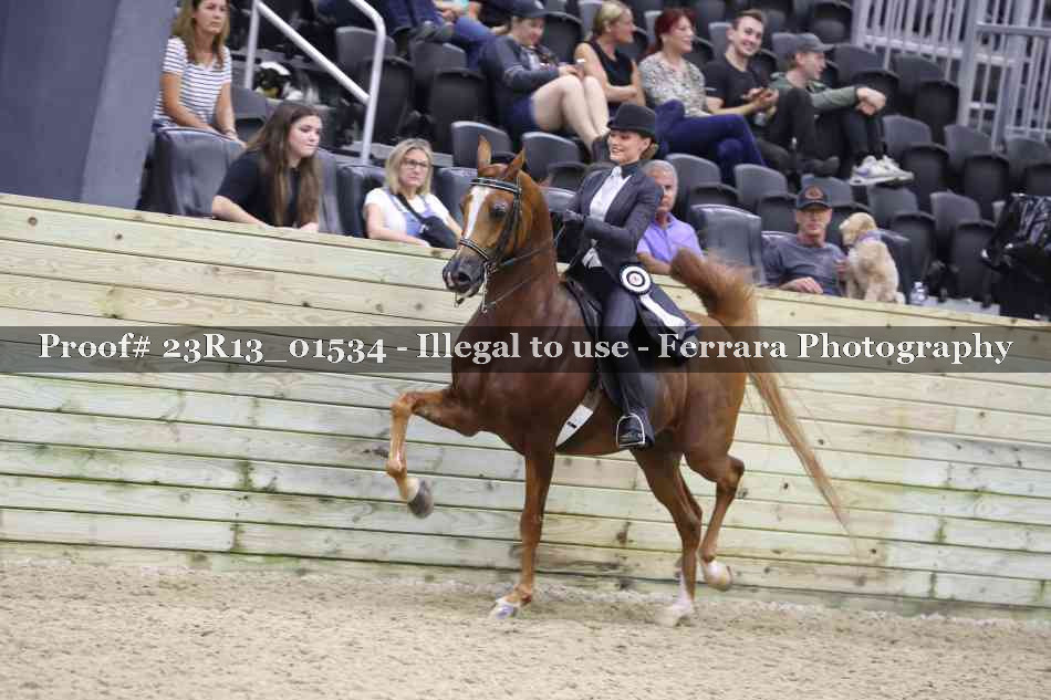 Proof 23R13_01534