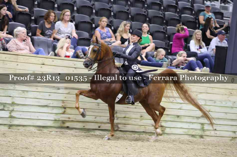 Proof 23R13_01535