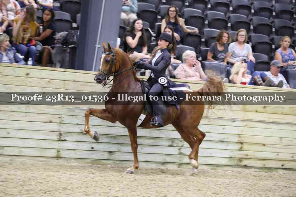 Proof 23R13_01536