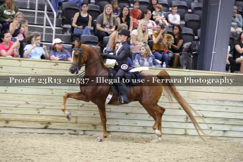 Proof 23R13_01537