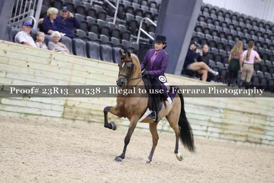 Proof 23R13_01538