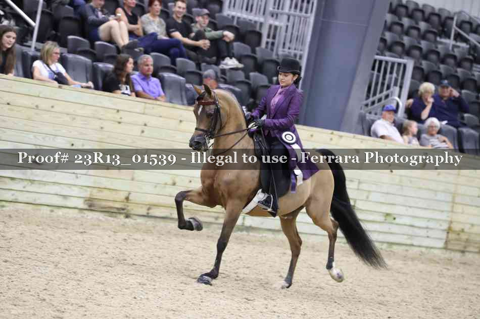 Proof 23R13_01539