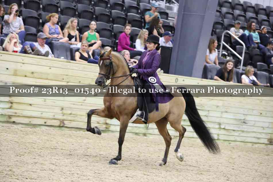 Proof 23R13_01540