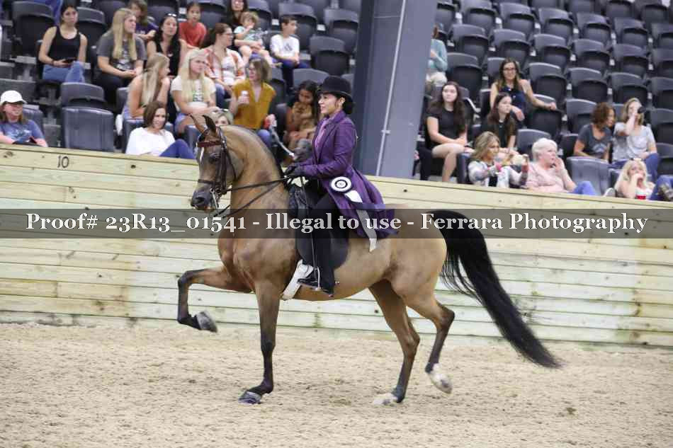 Proof 23R13_01541