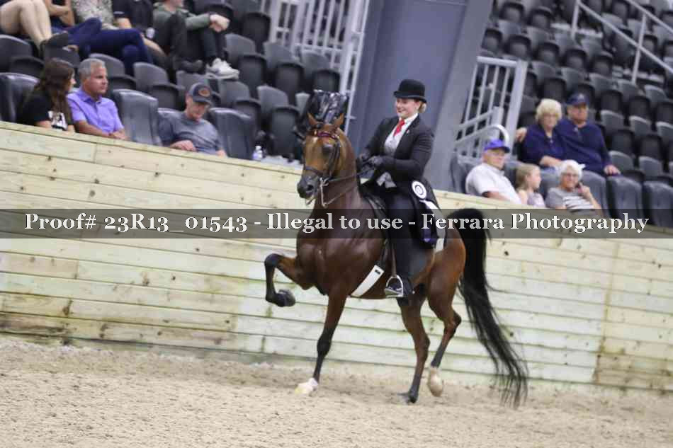 Proof 23R13_01543