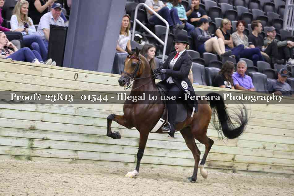 Proof 23R13_01544