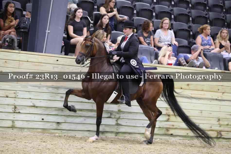 Proof 23R13_01546