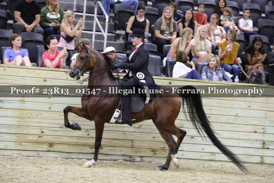 Proof 23R13_01547
