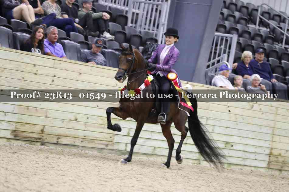 Proof 23R13_01549