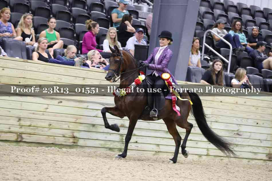 Proof 23R13_01551