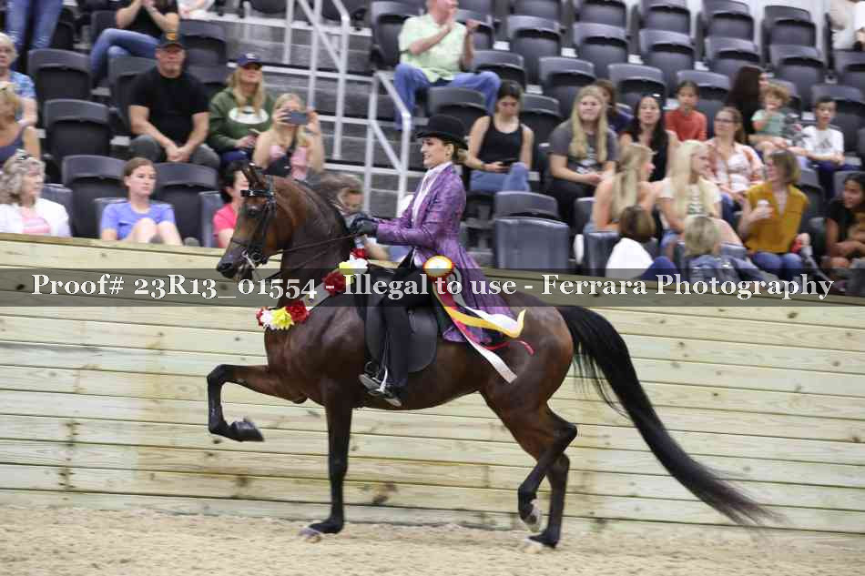 Proof 23R13_01554