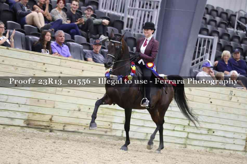 Proof 23R13_01556