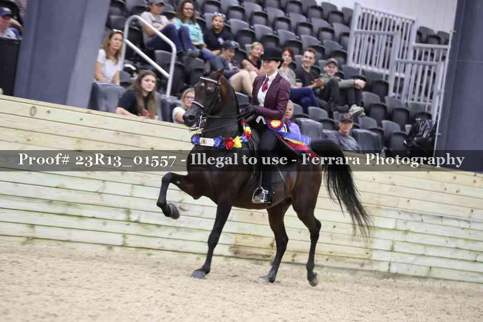 Proof 23R13_01557