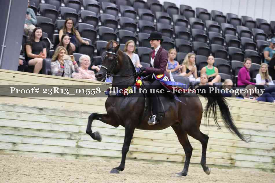 Proof 23R13_01558