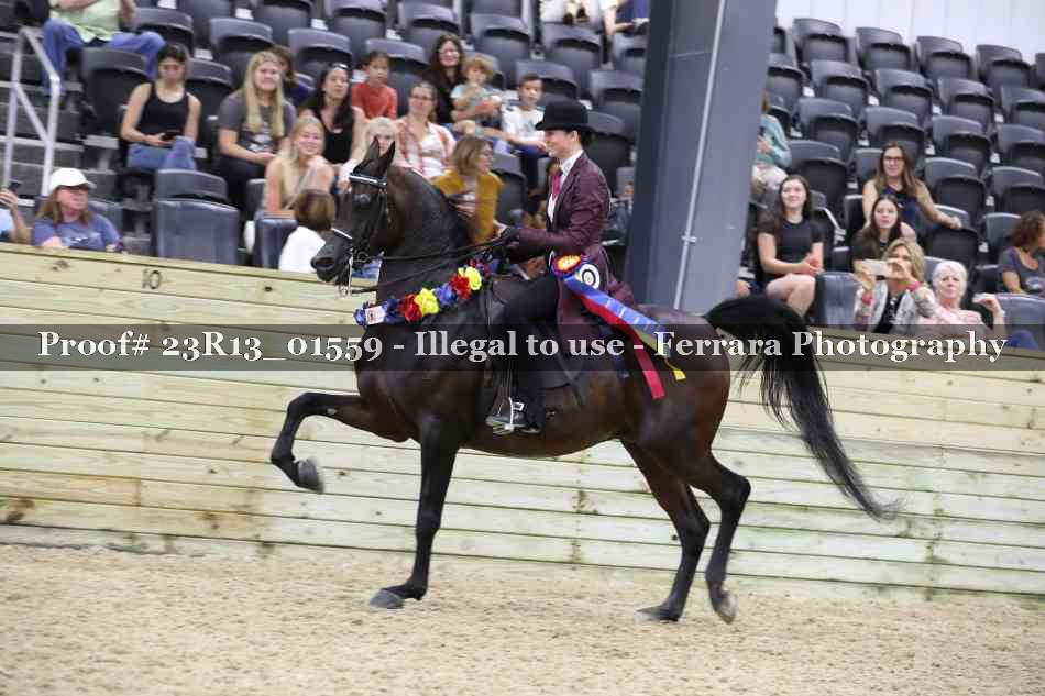 Proof 23R13_01559