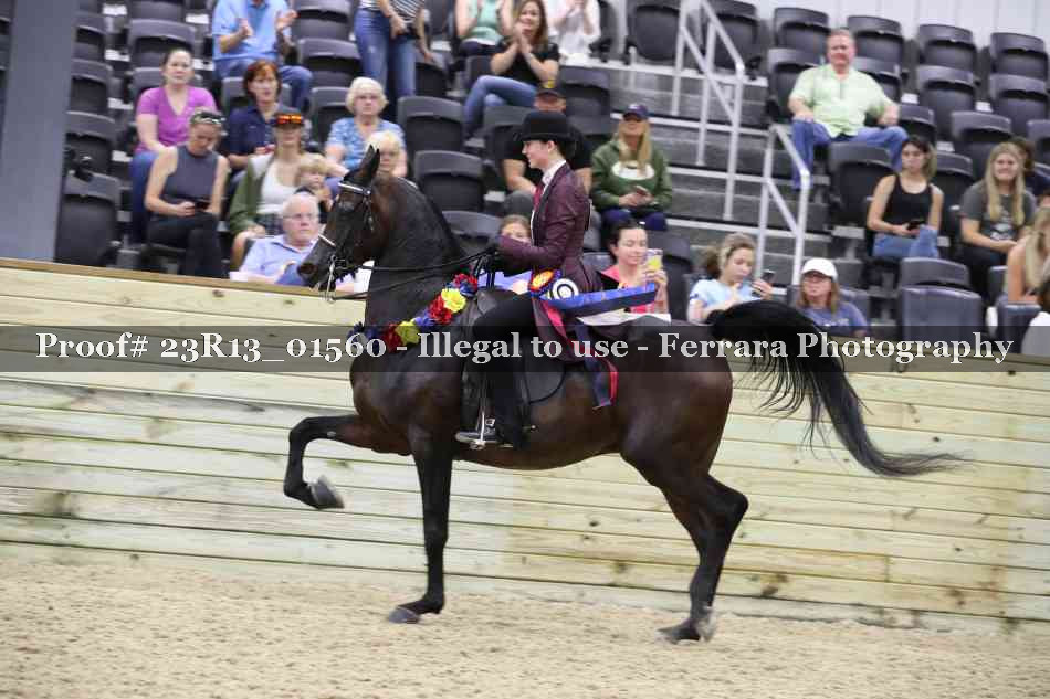 Proof 23R13_01560