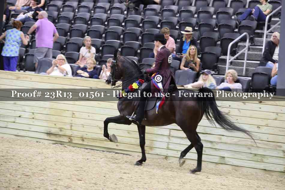 Proof 23R13_01561
