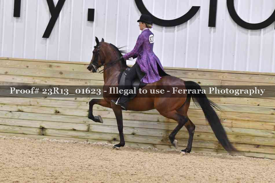 Proof 23R13_01623