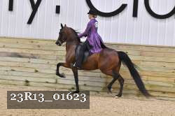 23R13_01623 proof