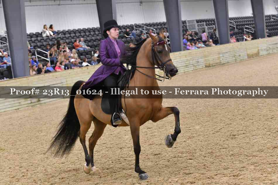 Proof 23R13_01624