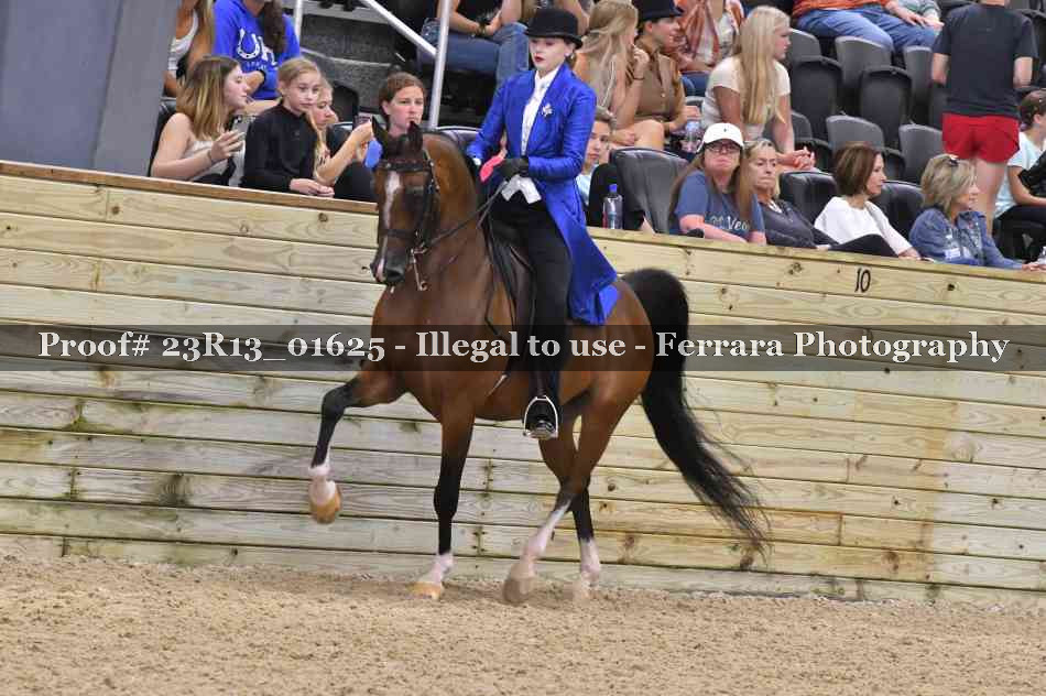 Proof 23R13_01625