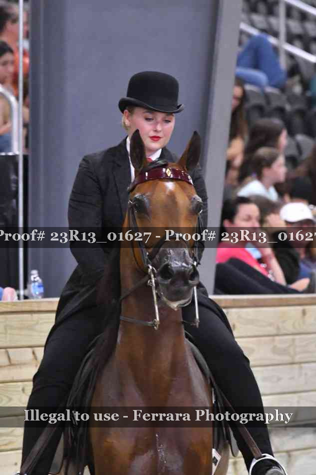 Proof 23R13_01627