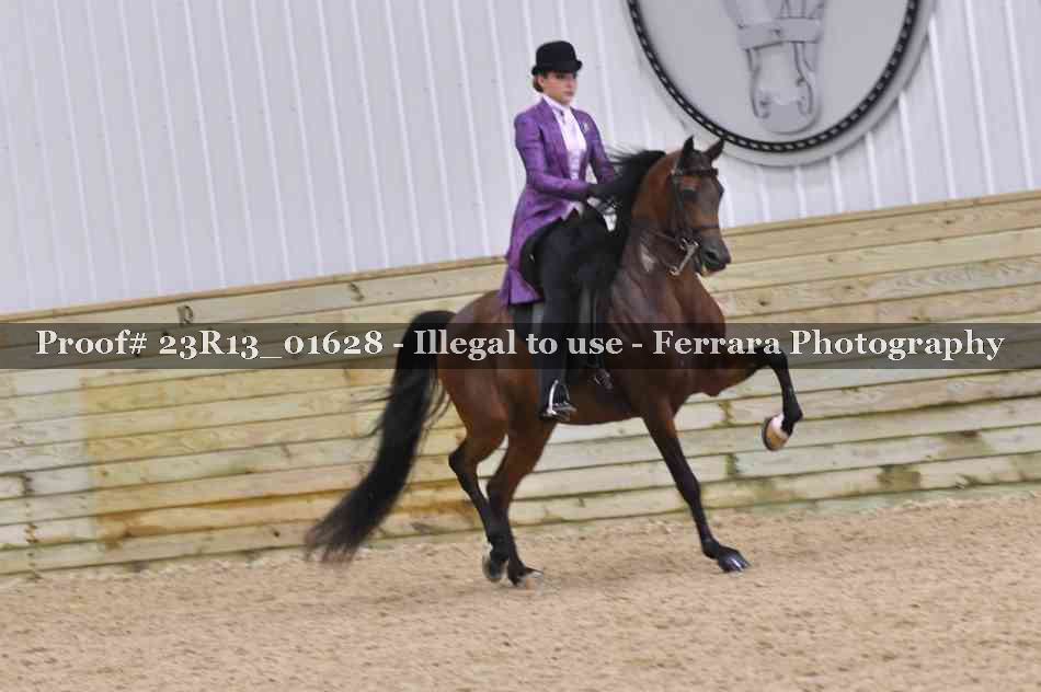 Proof 23R13_01628