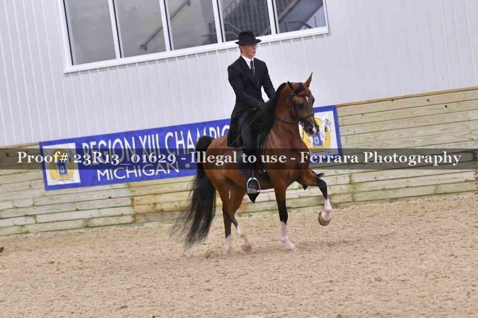 Proof 23R13_01629