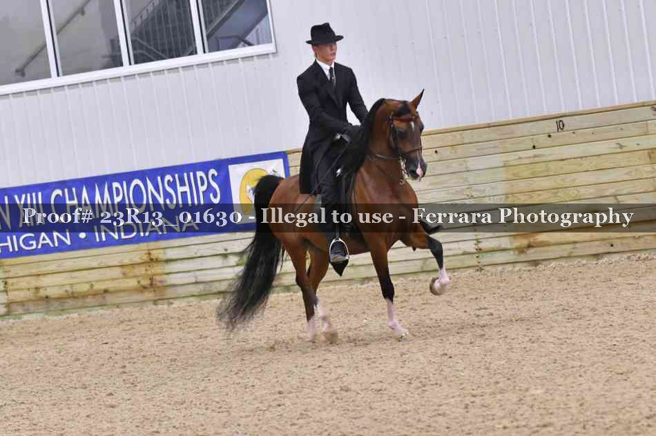Proof 23R13_01630