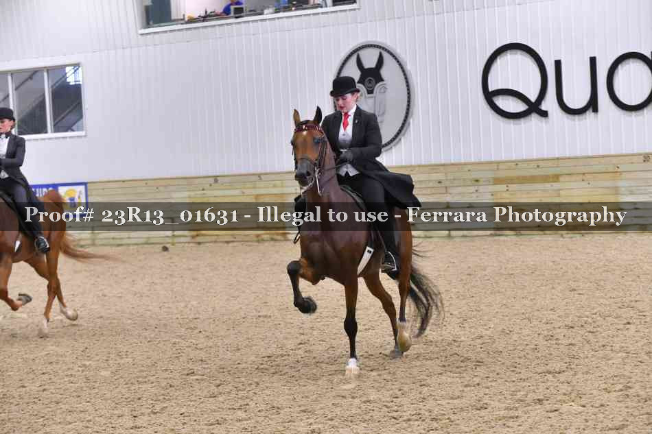 Proof 23R13_01631