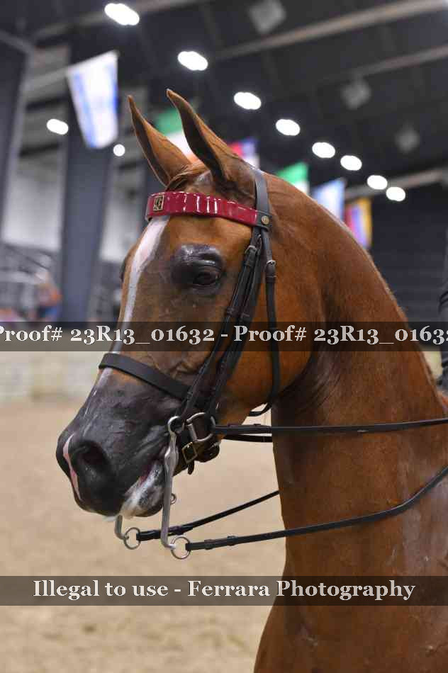 Proof 23R13_01632