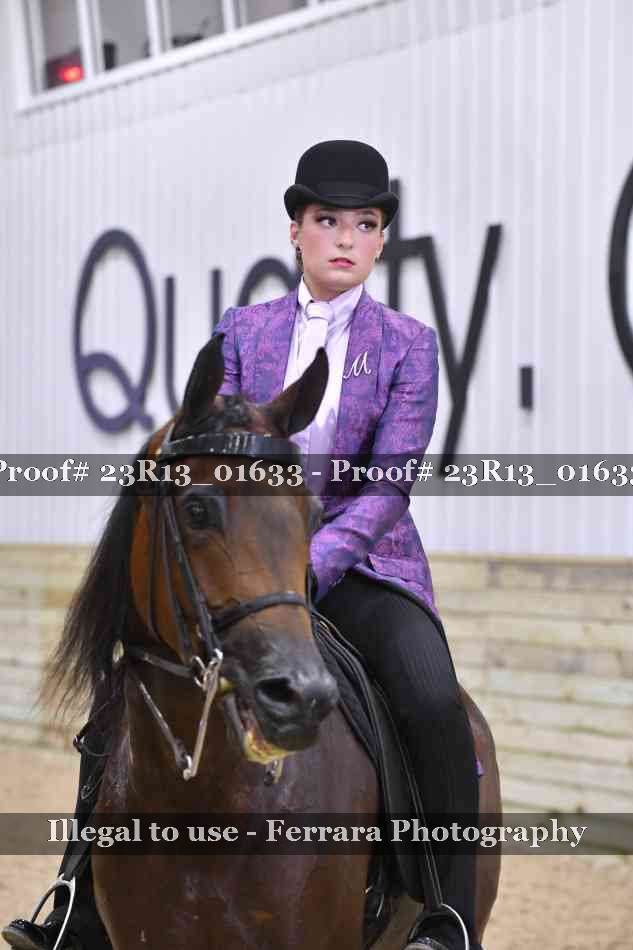 Proof 23R13_01633