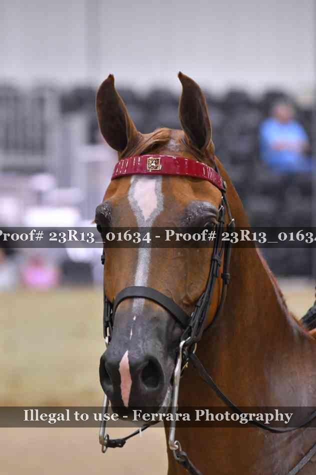 Proof 23R13_01634
