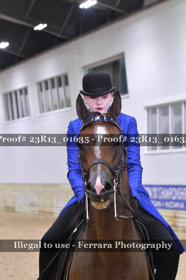 Proof 23R13_01635