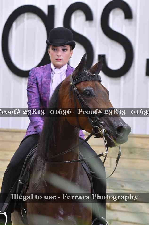 Proof 23R13_01636