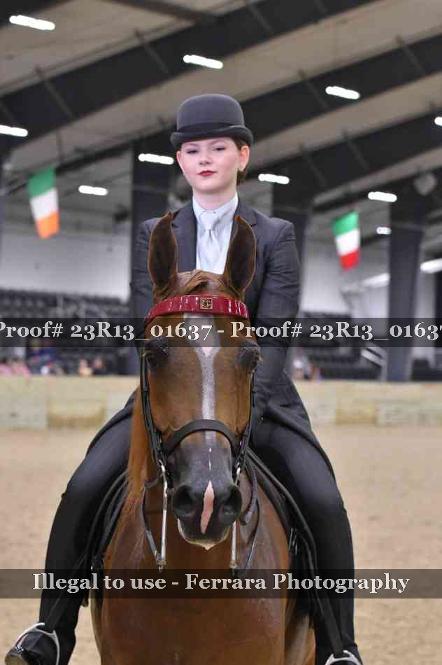 Proof 23R13_01637