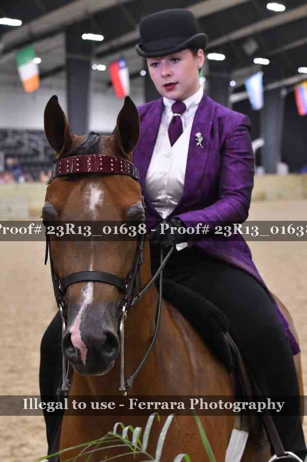 Proof 23R13_01638