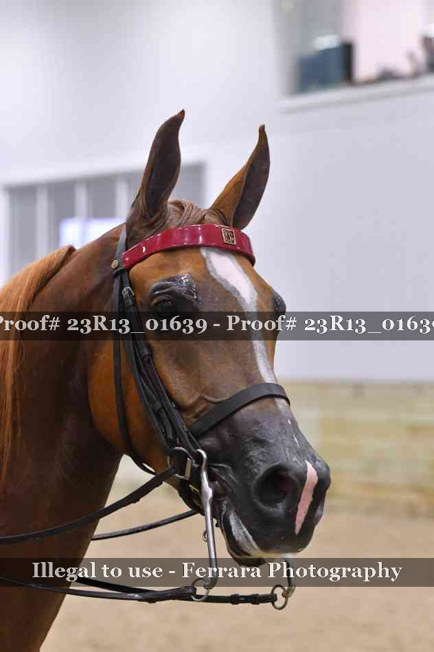 Proof 23R13_01639