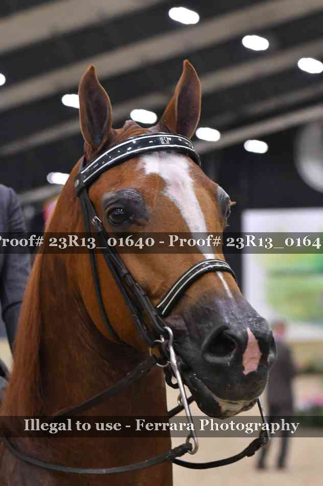 Proof 23R13_01640