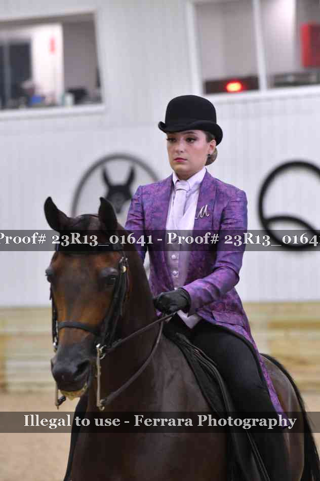 Proof 23R13_01641
