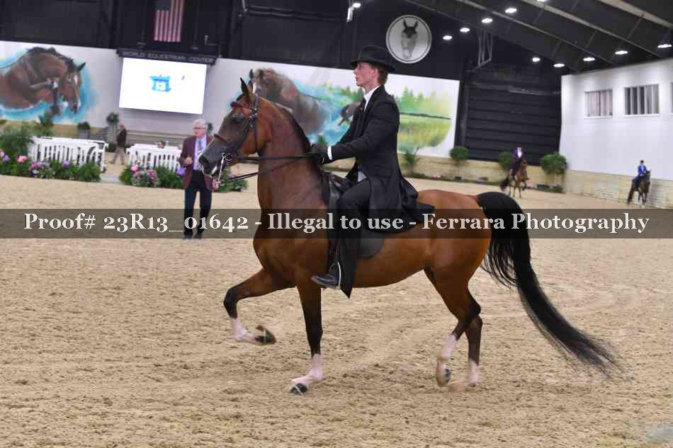 Proof 23R13_01642