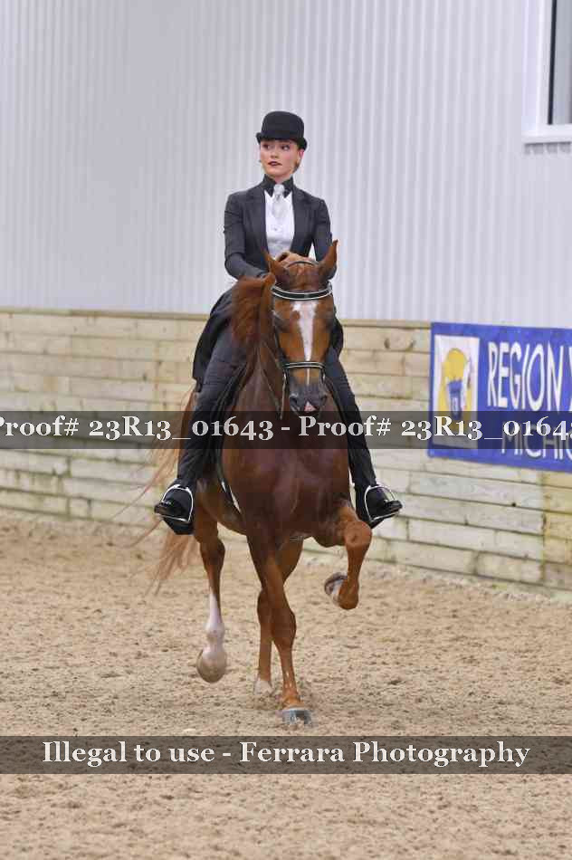 Proof 23R13_01643